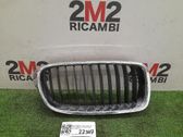 Front bumper upper radiator grill