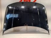 Engine bonnet/hood