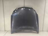 Motorhaube
