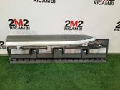 Rear door trim (molding)