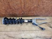 Front shock absorber with coil spring