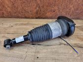 Rear air suspension bag/shock absorber