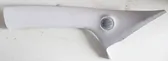 (A) pillar trim