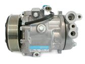Air conditioning (A/C) compressor (pump)