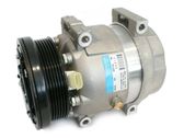 Air conditioning (A/C) compressor (pump)