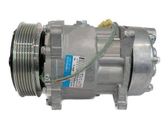 Air conditioning (A/C) compressor (pump)