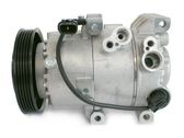 Air conditioning (A/C) compressor (pump)