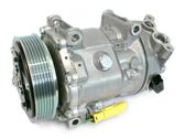 Air conditioning (A/C) compressor (pump)