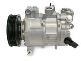 Air conditioning (A/C) compressor (pump)