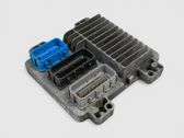 Engine control unit/module ECU