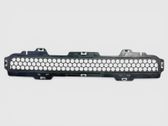 Front bumper lower grill