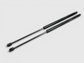 Tailgate strut