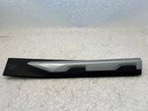 Rear door trim (molding)