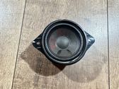 Panel speaker