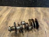 Vilebrequin du moteur
