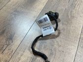 Interior temperature sensor