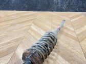 Front shock absorber/damper