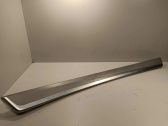 Other front door trim element