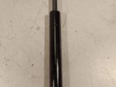 Front bonnet/hood damper/strut