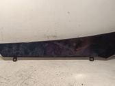 Other front door trim element