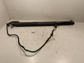 Tailgate/trunk strut/damper
