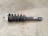 Front shock absorber/damper