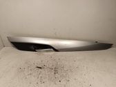 Rear door trim (molding)