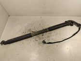 Tailgate/trunk strut/damper