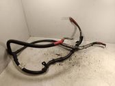 Wires (starter motor)
