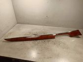 Front door trim (molding)