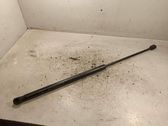 Front bonnet/hood damper/strut