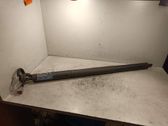 Tailgate/trunk strut/damper