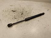 Front bonnet/hood damper/strut