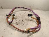 Other wiring loom