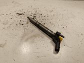 Injecteur de carburant