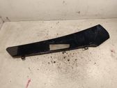 Other front door trim element