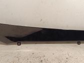 Other front door trim element