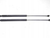 Tailgate/trunk strut/damper