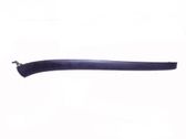 Windshield trim