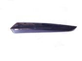 Rear door trim (molding)