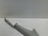 (B) pillar trim (bottom)