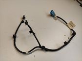 Other wiring loom