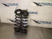 Muelle espiral trasero
