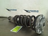 Rear shock absorber with coil spring