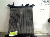 Juego de radiador