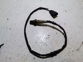 Sonde lambda