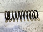 Rear coil spring