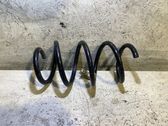 Front coil spring