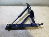 Tailgate/trunk/boot hinge