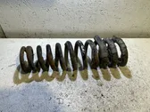 Rear coil spring